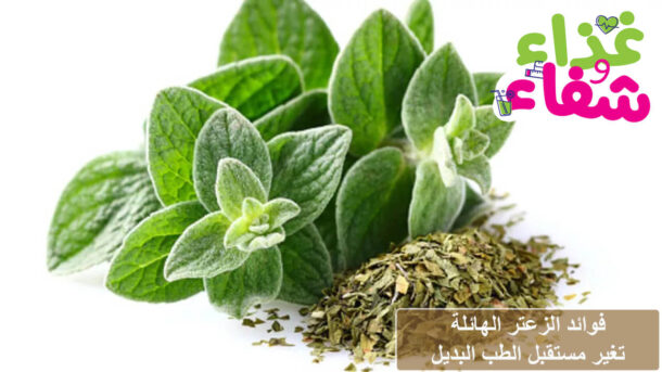 فوائد الزعتر الهائلة تغير مستقبل الطب البديل
